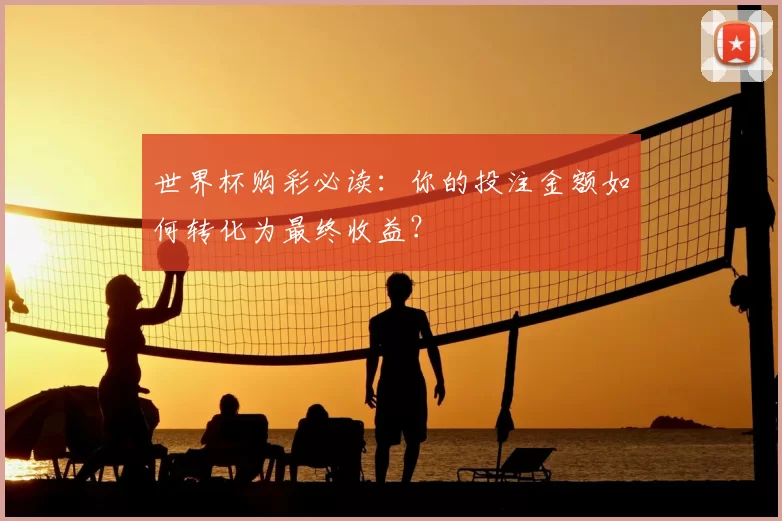 世界杯购彩必读:你的投注金额如何转化为最终收益?
