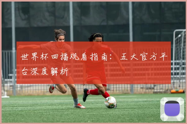 世界杯回播观看指南：五大官方平台深度解析