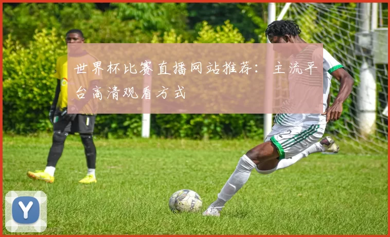 世界杯比赛直播网站推荐：主流平台高清观看方式