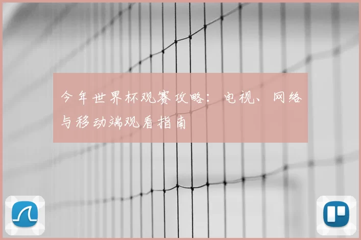 今年世界杯观赛攻略：电视、网络与移动端观看指南