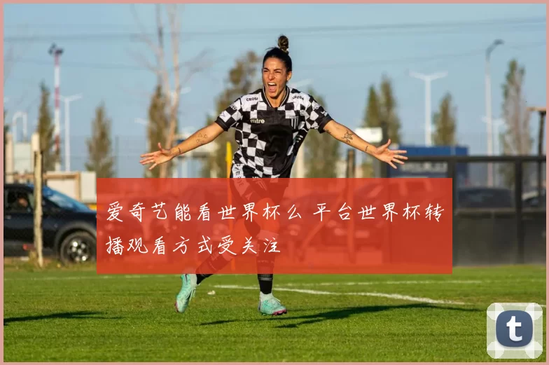 爱奇艺能看世界杯么 平台世界杯转播观看方式受关注