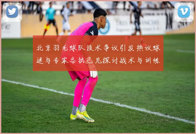 北京羽毛球队技术争议引发热议球迷与专家各执己见探讨战术与训练问题