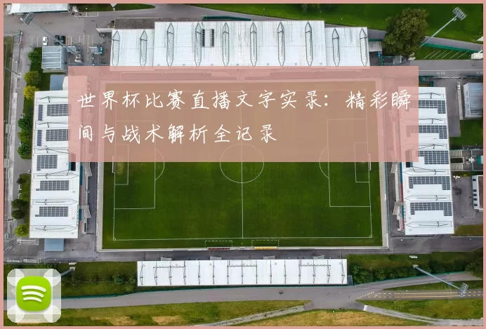 世界杯比赛直播文字实录：精彩瞬间与战术解析全记录