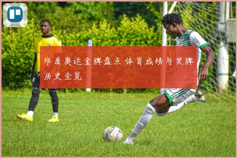 印度奥运金牌盘点 体育成绩与奖牌历史全览