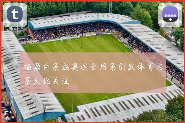 福鼎白茶成奥运会用茶引发体育与茶文化关注