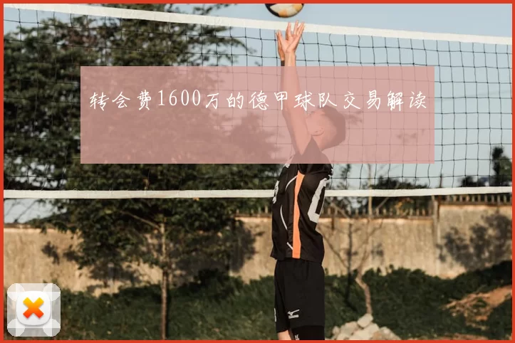 转会费1600万的德甲球队交易解读