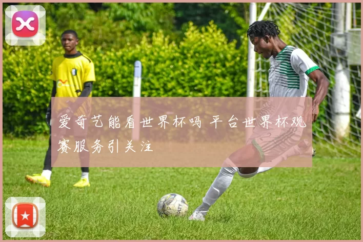 爱奇艺能看世界杯吗 平台世界杯观赛服务引关注