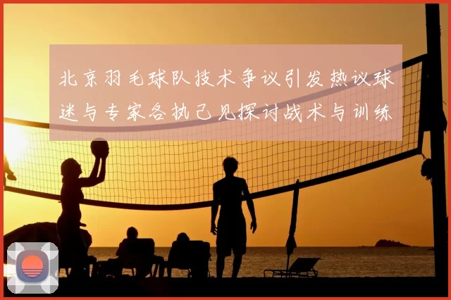 北京羽毛球队技术争议引发热议球迷与专家各执己见探讨战术与训练问题