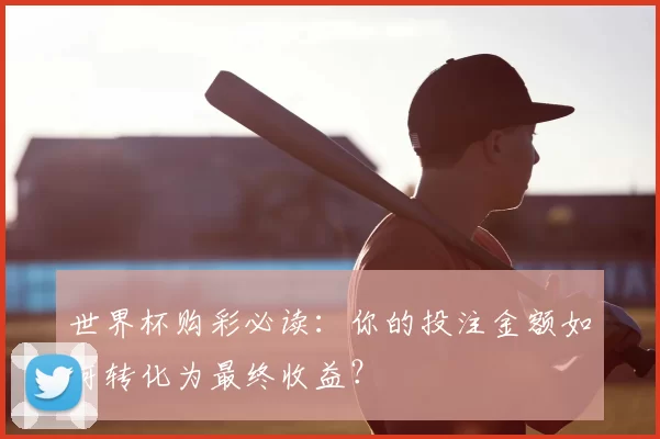 世界杯购彩必读：你的投注金额如何转化为最终收益？