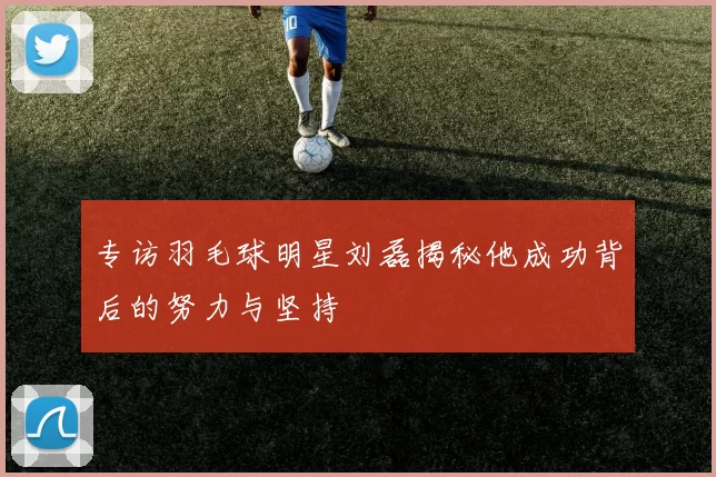 专访羽毛球明星刘磊揭秘他成功背后的努力与坚持