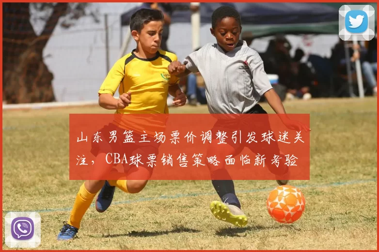 山东男篮主场票价调整引发球迷关注，CBA球票销售策略面临新考验