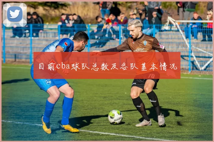 目前cba球队总数及各队基本情况