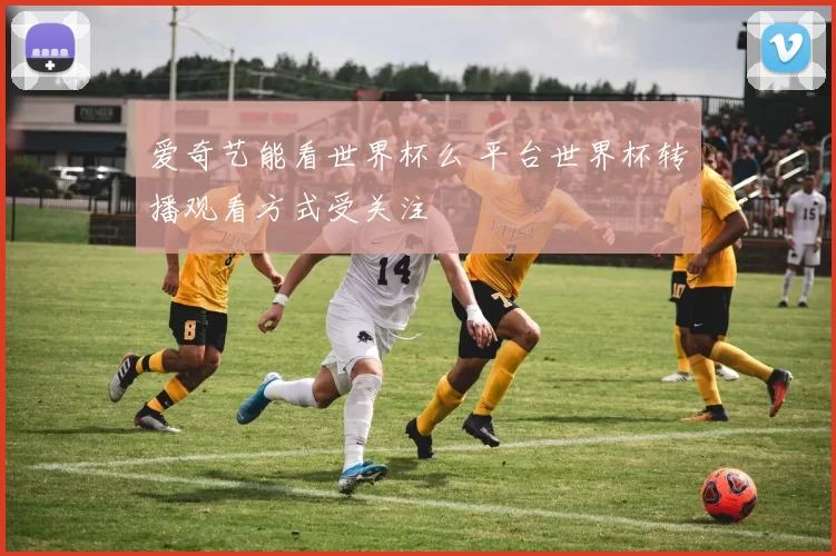爱奇艺能看世界杯么 平台世界杯转播观看方式受关注