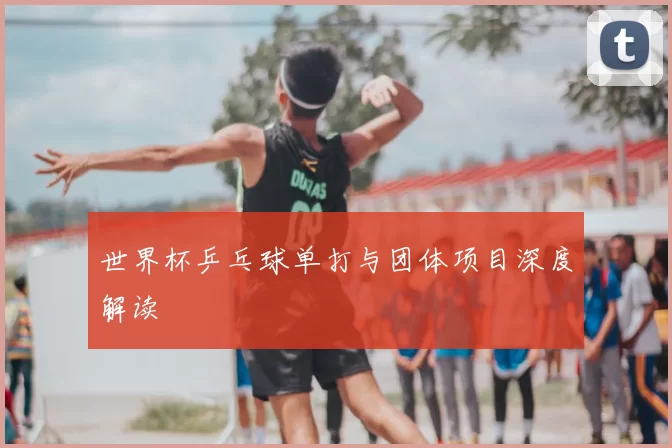 世界杯乒乓球单打与团体项目深度解读