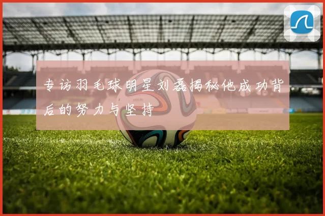 专访羽毛球明星刘磊揭秘他成功背后的努力与坚持