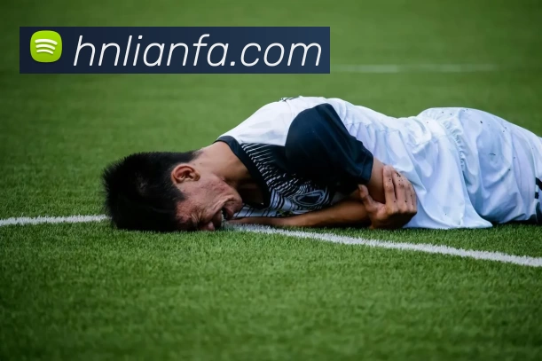 开云app发展历程