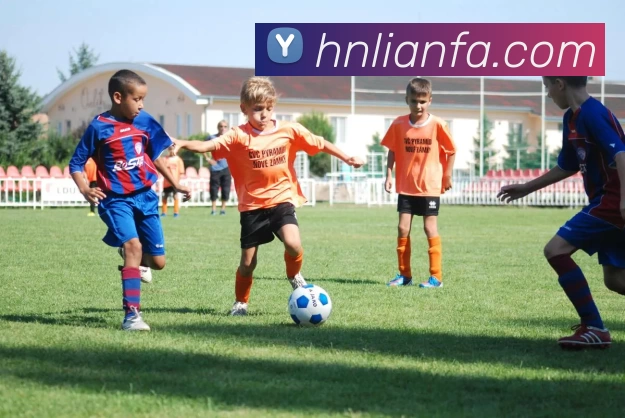 多媒体互动体验